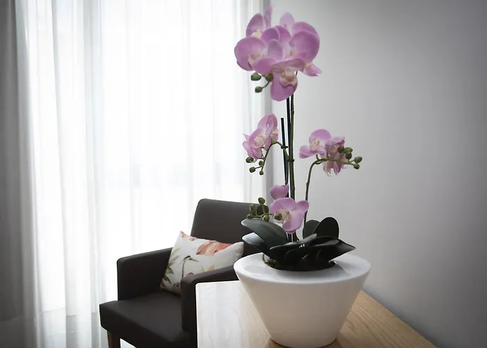 Ξενοδοχείο Novoa *